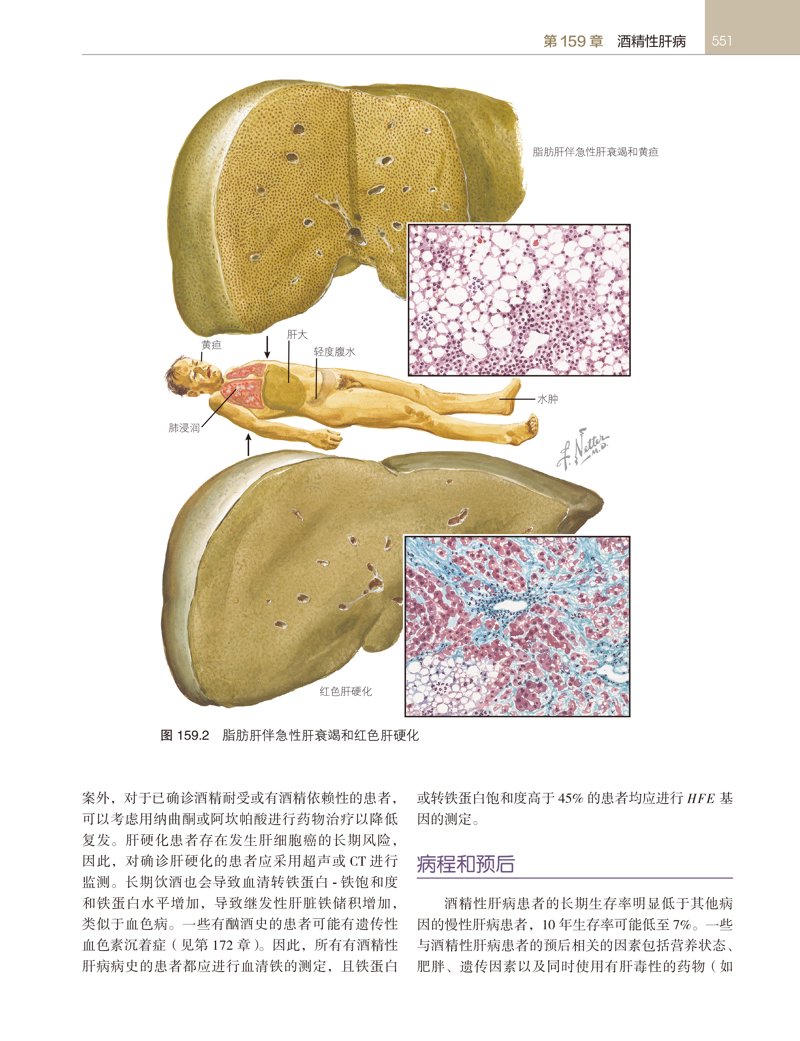 聚焦胃肠健康:北医胃肠病医院引领行业新风向